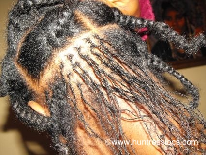 Huntress Locs: Sisterlocks Installation