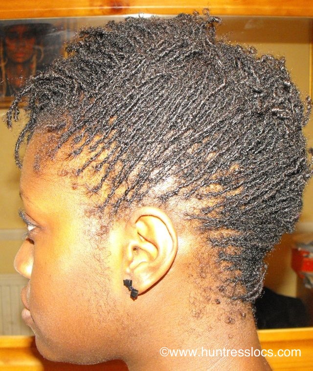 Huntress Locs: Sisterlocks Year 2