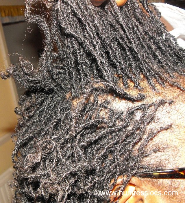Huntress Locs: Sisterlocks Year 1