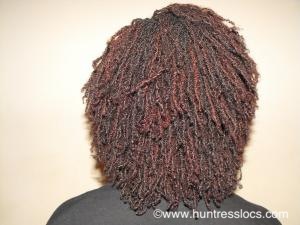 Huntress Locs: Sisterlocks Year 2